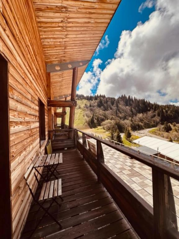 appartement le tétras lyre 301 - 3