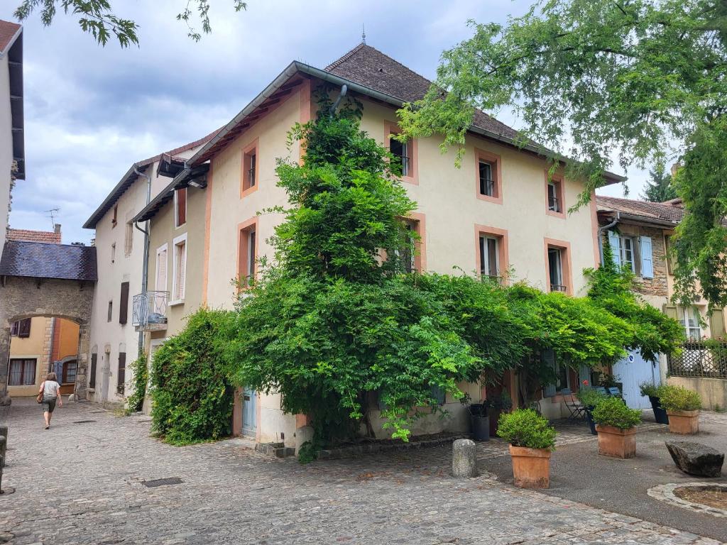 Pimprenelle maison de ville entière,atypique - 2