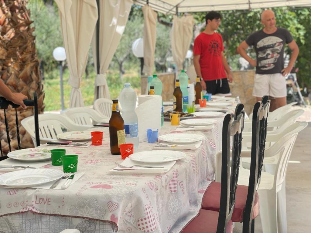 Trilocale tra alberi da frutto - 4