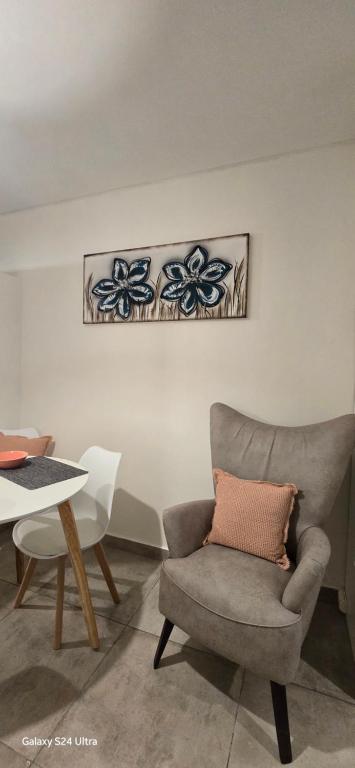 Apartment in Pichincha! Beautiful studio apartment with patio - 5