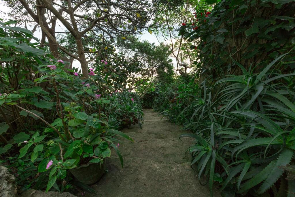 Surrounding environment