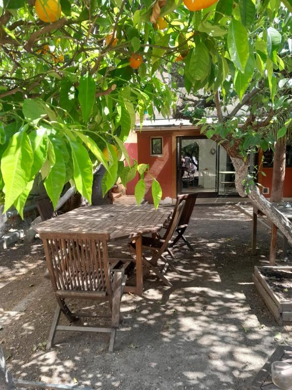 Joli appartement avec jardin - 4