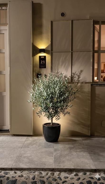Living lofT San Donato Porta Susa - 3