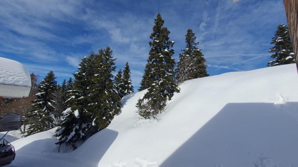 Charmant F2, départ randonnée, pied des pistes, piscine, toutes commodités - 5