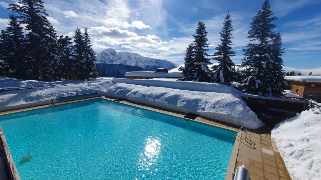 Charmant F2, départ randonnée, pied des pistes, piscine, toutes commodités - 4