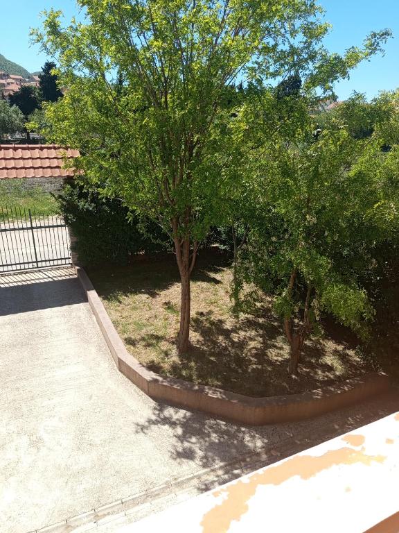 Apartman Selena - 4