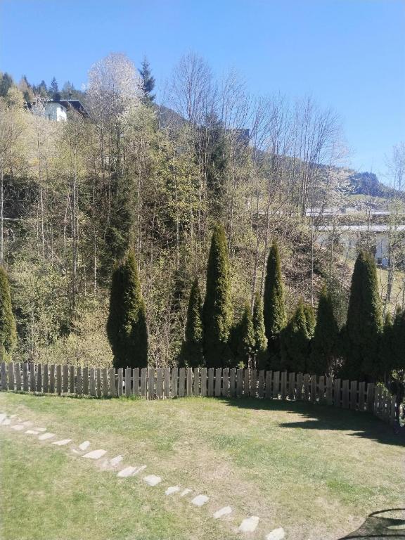 Appartement Ammerer - 3