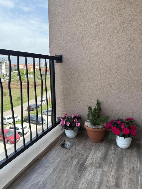 Southern Retreat - 3