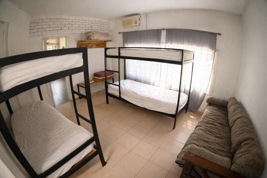 Quinta - 4