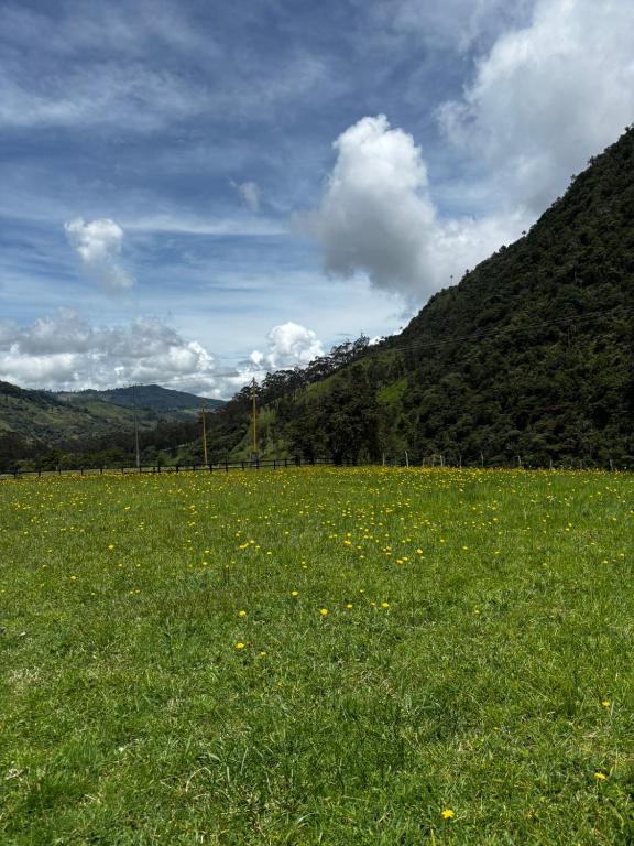 Refugio Nidos del Condor Cocora - 3