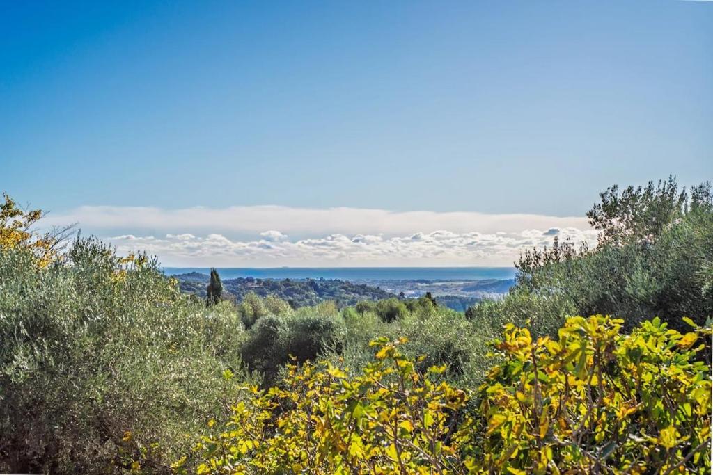 Private Villa with Pool for 10 Guests in Cannes-Mougins - 2