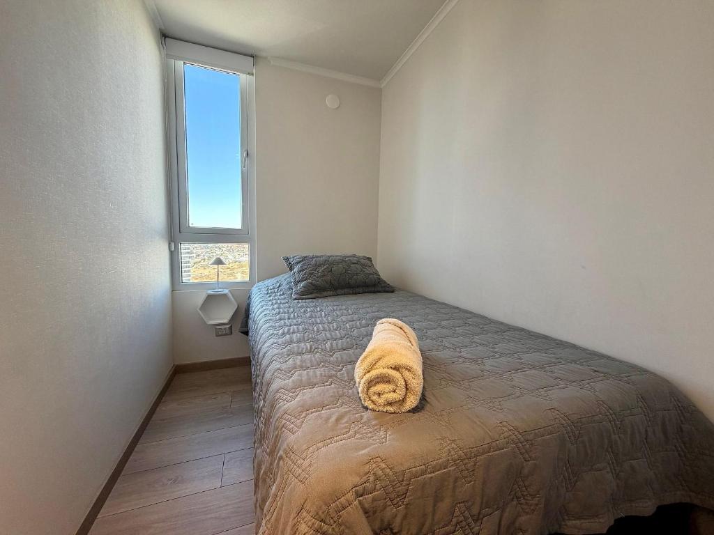New and comfortable in Costa de Montemar - 4
