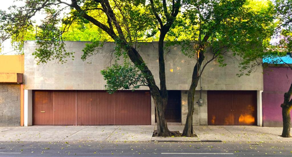 Mi Otra Casa Coyoacan - 1