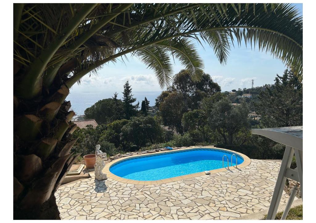 Villa Les Mimosas - 3