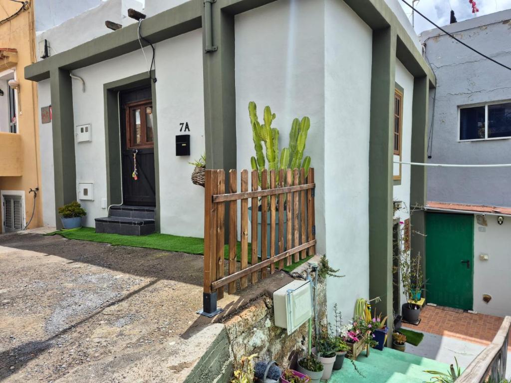 Casita Canaria - 4