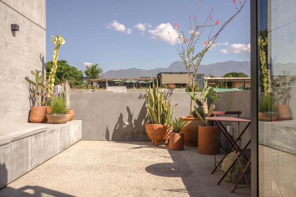 Macondo Arte Oaxaca - 3