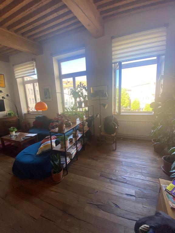 Beautiful Canut apartment, Croix-Rousse - 2