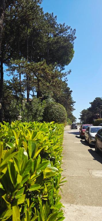 Appartamento Sole Pineta - 2