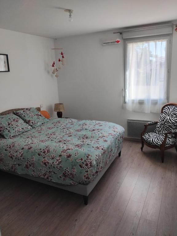 Appartement T3 Saint Cyprien Toulouse - 2