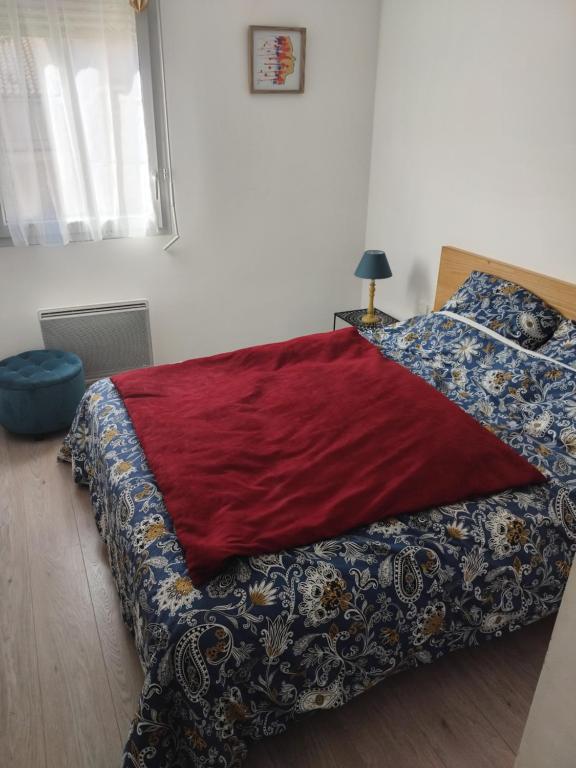 Appartement T3 Saint Cyprien Toulouse - 4