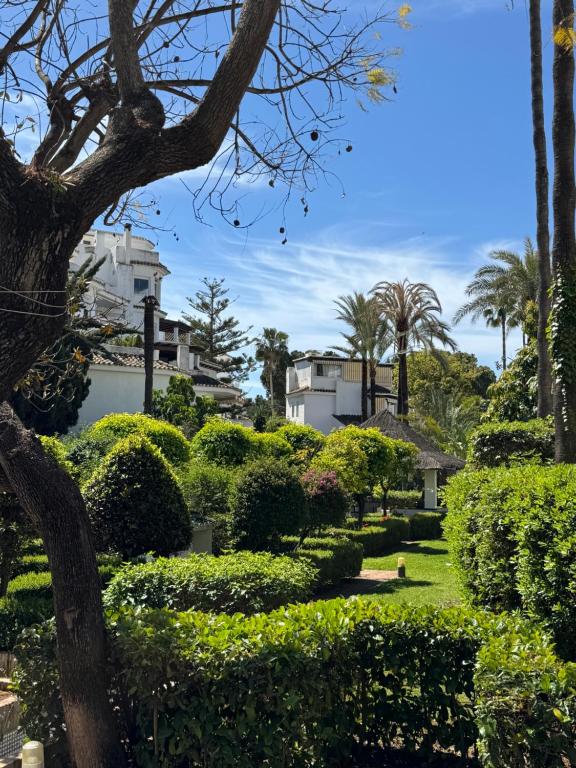 Anais Marbella - 5