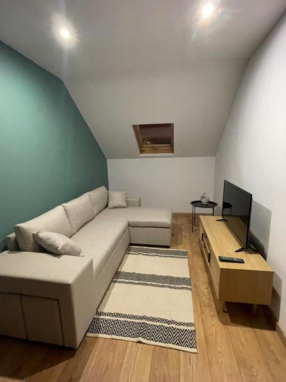 Annecy city center apartment - 4