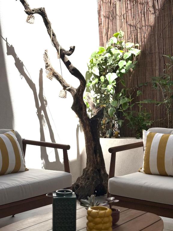 Quiet & luxury Designer Studio, 2 Patios & Full AC - 3