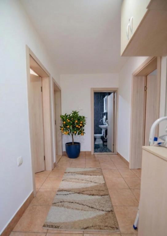Villa PeSa with Private Pool, Jacuzzi & Sports Garden - 3