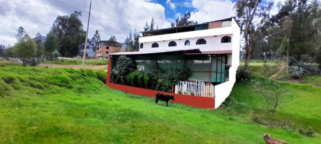 Hostal Selena - 1