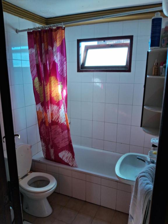 Depto 1 dormitorio Barrio Sur - 5