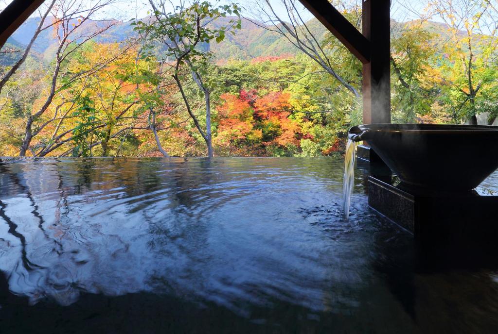 Hot spring bath