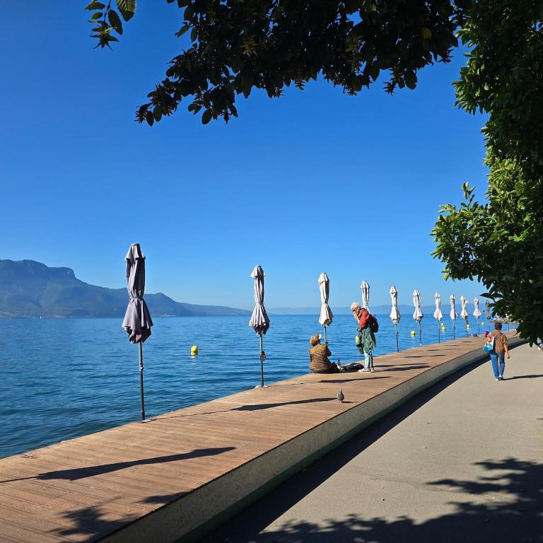 appartement Annecy-le-Vieux vue lac - 4
