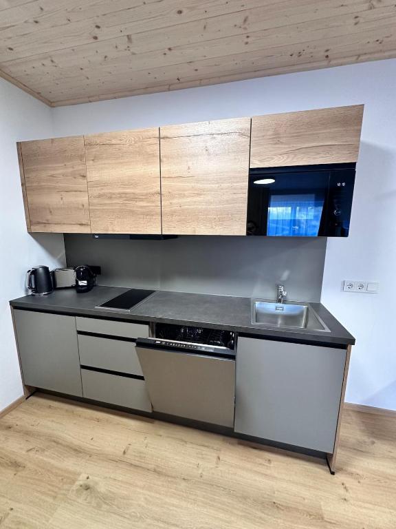 Alpin Studio Schladming 102 - 3