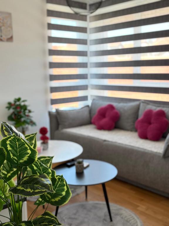 Jefimija Apartman Sokobanja - 1