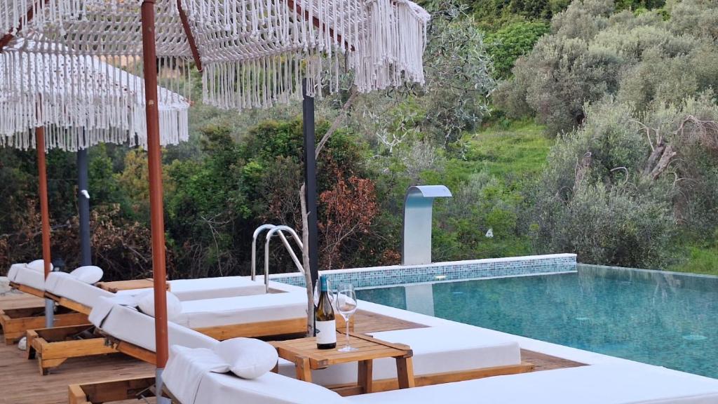 Azure Olive Collection - 1