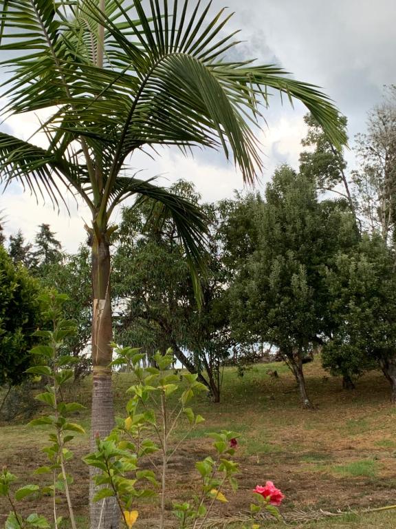 Villa Nelly Country House - 3
