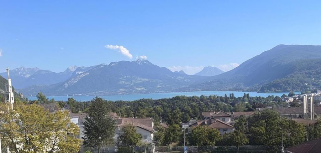 appartement Annecy-le-Vieux vue lac - 2