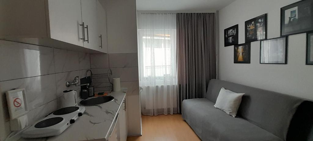 Villa Milovanovic - 4