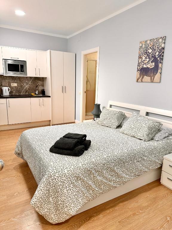 Apartamento 7 NOU DE LA RAMBLA - 1