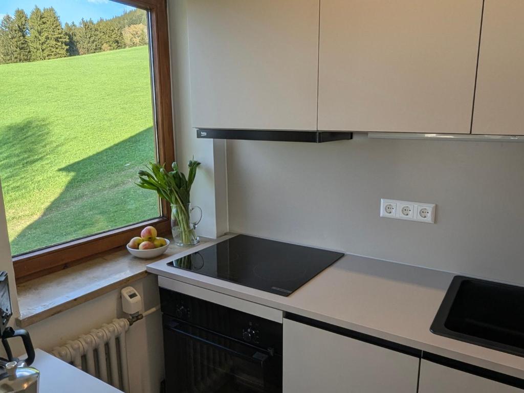 Ferienwohnung Bergzauber im Ferienpark Oberallgäu- Pool- Sauna- Bikepark- Skilift- Loipe- Wanderwege- stilvoll und kinderfreundlich - 2