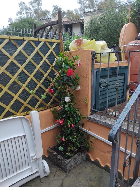Casa Ady - 4