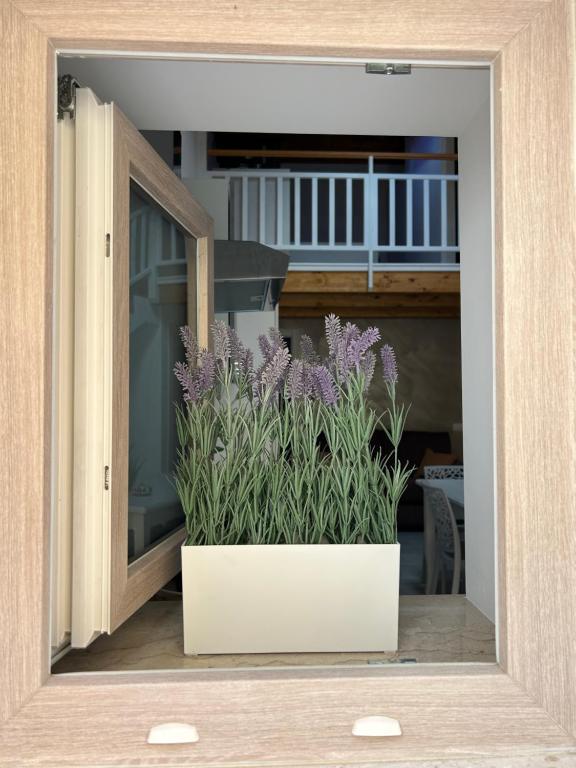 La Casa di Carmela - 1
