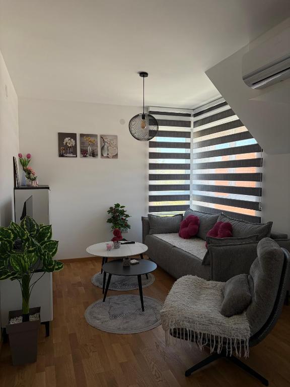 Jefimija Apartman Sokobanja - 3