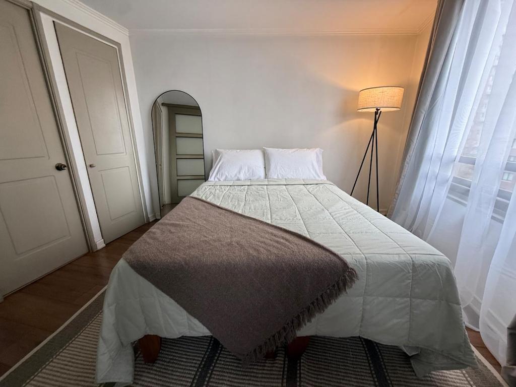 Cozy apartment in the middle of Santiago - 5