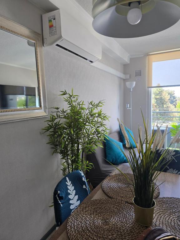 Nuevo céntrico y hermoso Departamento 3 dormitorios - 2
