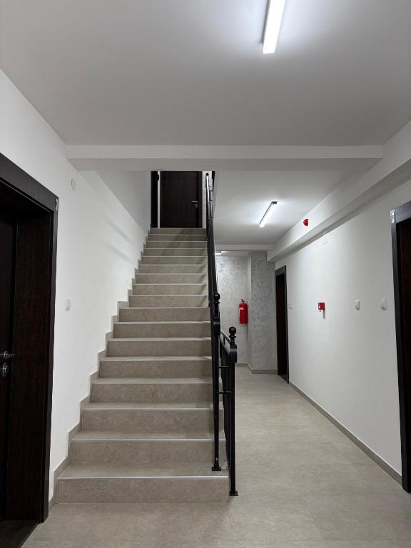 Jefimija Apartman Sokobanja - 4