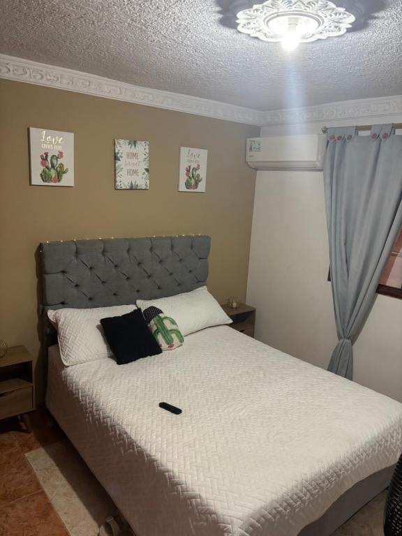 Habitación festivalera - 5