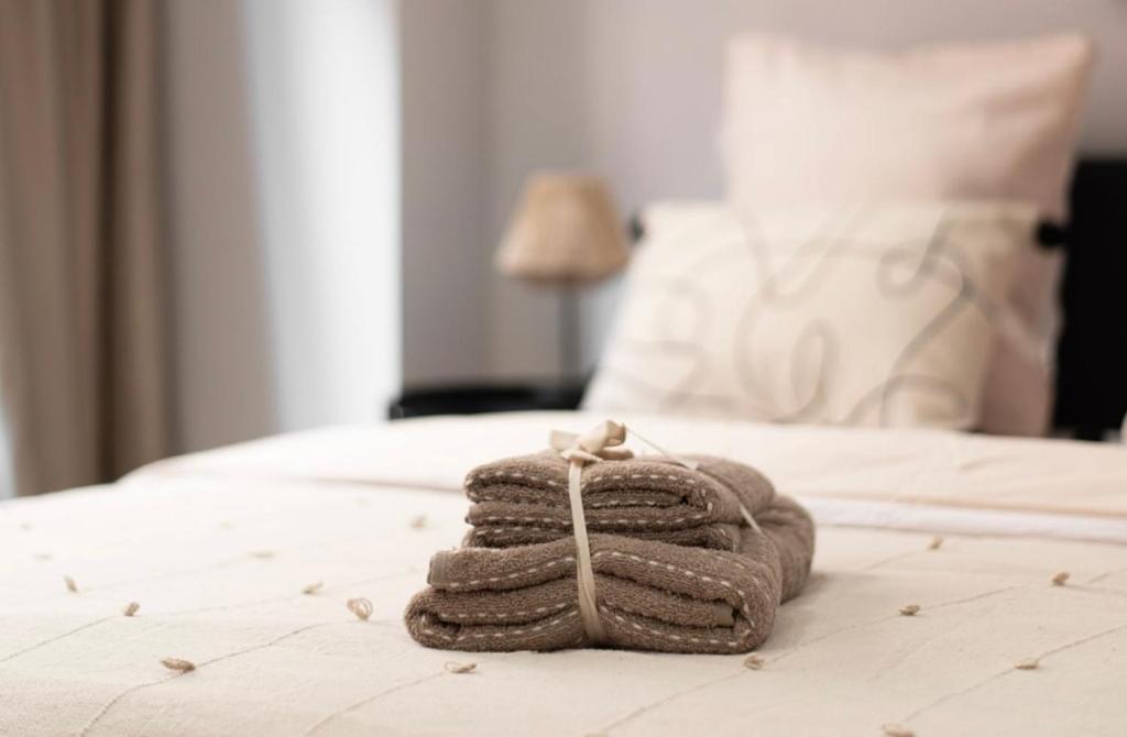 Appartement luxueux compans caffarelli parking privé gratuit jardin japonais 4 personnes - 5