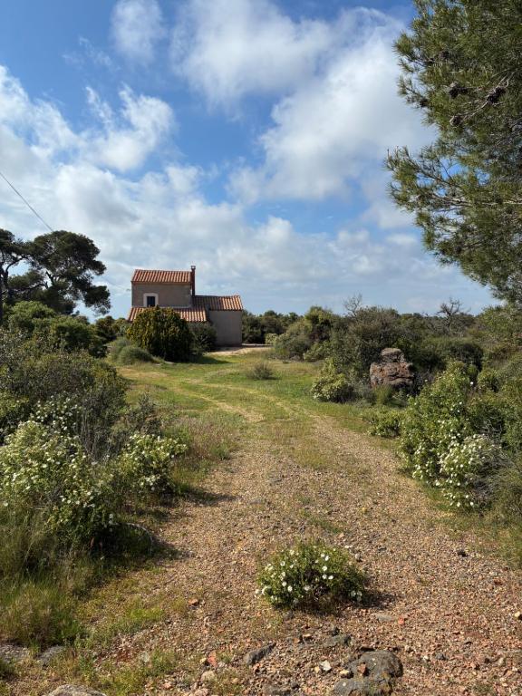 Maison au cœur de la garrigue - 5