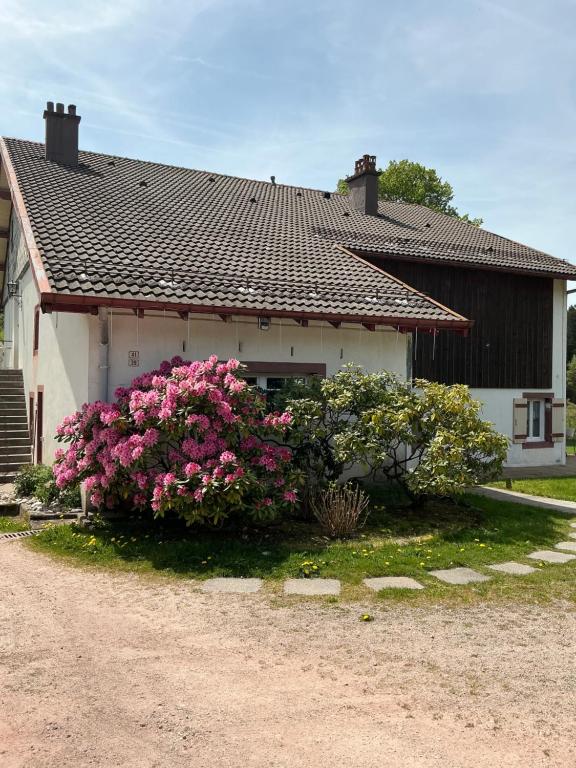 Gîte coquelicot les cœurs du tilleul - 1